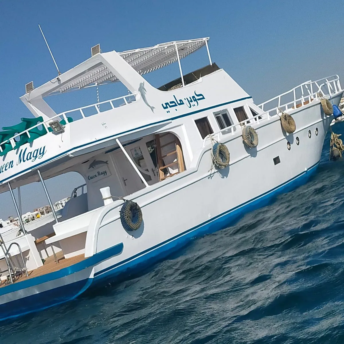 private snorkeling tour hurghada
