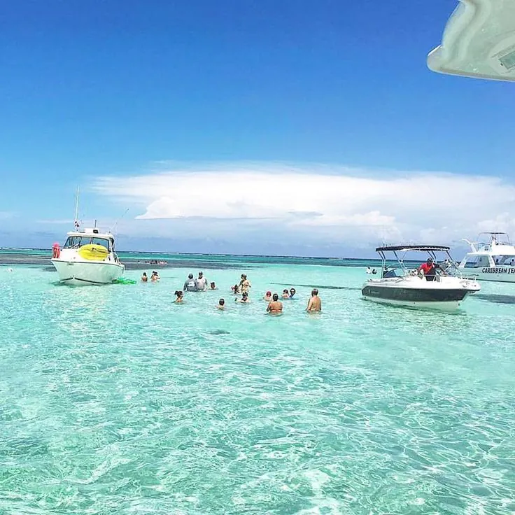 Privates Speedboot zum Delfinhaus